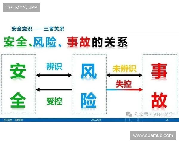 问鼎在线地址查询2024最新版，提供最全官方入口信息及安全保障措施