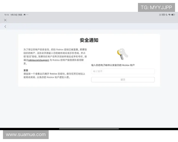 问鼎官方入口账号安全保护措施及密码重置方法保障你的账号安全
